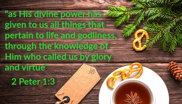 christmas-1895061_1280 (1) (1).jpg